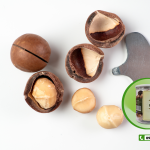 Cửa hàng hạt macca dinh dưỡng tại Hà Đông – giá cực kỳ ưu đãi!