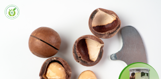 Cửa hàng hạt macca dinh dưỡng tại Hà Đông – giá cực kỳ ưu đãi!