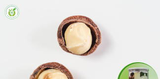 Top địa chỉ mua hạt macca giá rẻ tại Long Biên chất lượng!