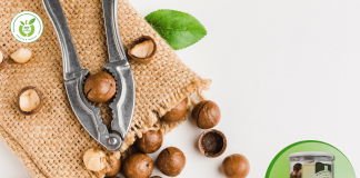 Hạt macca Phú Nhuận – mua ở đâu giá rẻ & chất lượng?