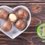 Mua hạt macca Bình Dương – địa chỉ uy tín chất lượng!