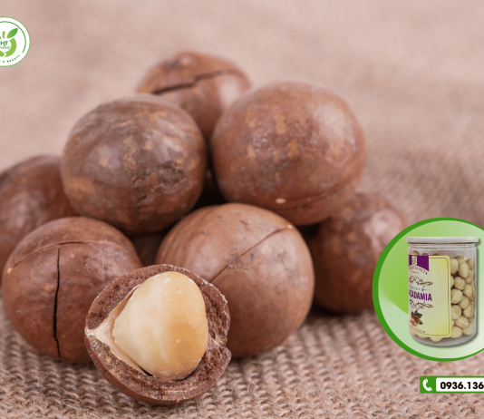 Hạt macca Đông Anh – địa chỉ bán sỉ lẻ uy tín!