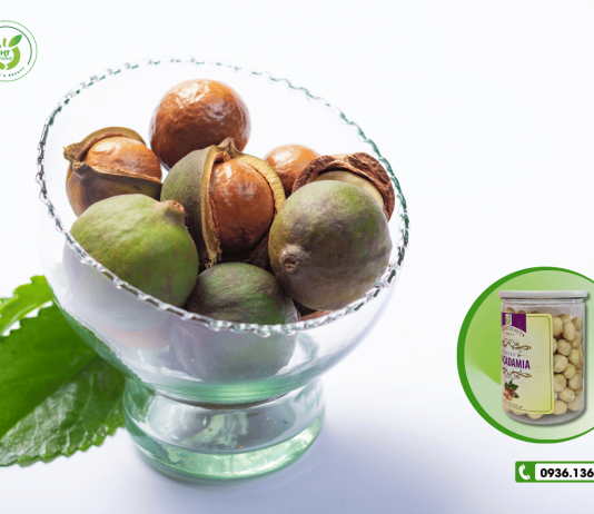 Hạt macca cao cấp Đống Đa – địa chỉ mua uy tín!