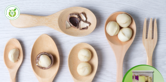 Địa chỉ bán hạt macca tại Gia Lâm – giá tốt nhất!