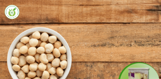 Mua hạt macca ở Hoài Đức – giá tốt & chất lượng đảm bảo!