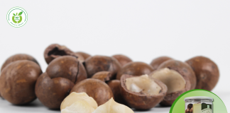 Địa chỉ mua hạt macca chính hãng tại Hoàn Kiếm!