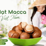 Hạt macca mua ở đâu Long An – Tây Ninh ngon, dễ chọn?