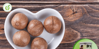 Địa điểm bán hạt macca chất lượng tại Tây Hồ!