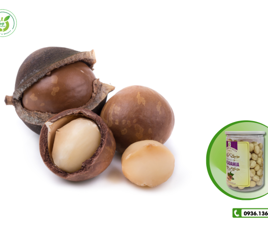 Hạt macca chất lượng tốt ở Thanh Hoá – mua ở đâu?