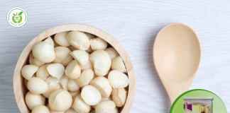 Shop hạt macca Vĩnh Long – hạt macca chất lượng!