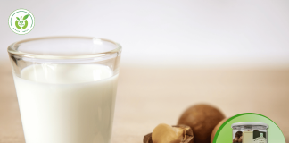 Hạt macca mua ở đâu chất lượng và giá rẻ nhất?