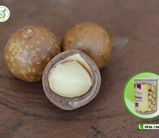 Chỗ bán hạt mắc ca giá rẻ nhất tại TpHCM – mua ngay!