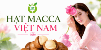 Hạt macca mua ở đâu tại Sài Gòn, TP.HCM chất lượng, giá tốt?