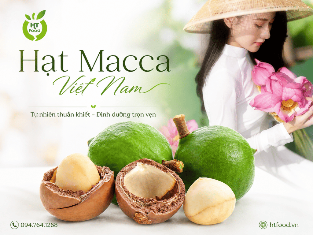 Hat macca mua o dau