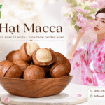 Hạt macca mua ở đâu tại Bình Dương – TP.HCM giao tận nơi? Hat macca mua tai Binh Duong