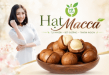 Hạt macca mua ở đâu tại Cầu Giấy – Hà Nội giao hàng tận nơi? Hat macca mua tai Cau Giay