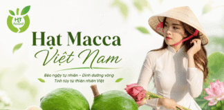 Hạt macca mua ở đâu Hải Dương – Hải Phòng giao hàng tận nơi?