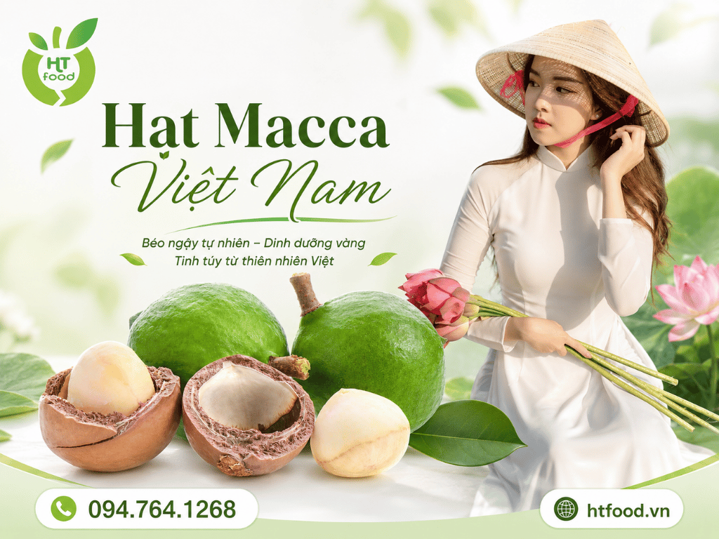 Hat macca mua tai Hai Duong - Hai Phong