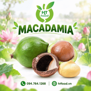 Hạt macca tách vỏ