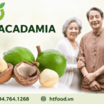 Hạt macca có tốt cho người lớn tuổi không và có lợi ích gì? Hat macca voi nguoi cao tuoi