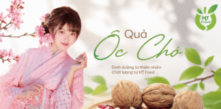Giá trị dinh dưỡng từ hạt óc chó và lợi ích sức khỏe nổi bật Hat oc cho co gia tri dinh duong gi