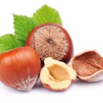 Hạt phỉ là hạt gì? Tất cả những điều cần biết về hạt phỉ!