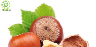 Hạt phỉ là hạt gì? Tất cả những điều cần biết về hạt phỉ!