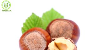 Hạt phỉ mua ở đâu? Địa chỉ bán hạt phỉ tươi tại Hà Nội & Tphcm