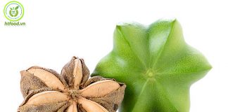 Hạt sachi quận Phú Nhuận Tphcm | Địa chỉ mua hạt sachi tại Phú Nhuận