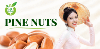 Hạt thông có tác dụng gì đối với sức khỏe và dinh dưỡng? Hat thong co nhung tac dung gi