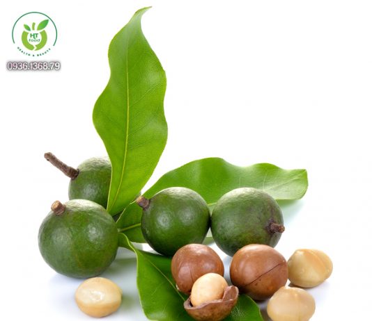 Những lợi ích sức khỏe tuyệt vời của hạt mắc ca Những lợi ích sức khỏe tuyệt vời của hạt mắc ca