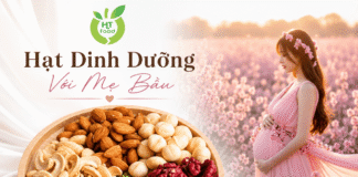 Mua hạt dinh dưỡng cho bà bầu nên chọn loại nào phù hợp thai kỳ Mua hat dinh duong cho ba bau