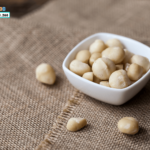 Mua Hạt Macca Ở Đâu Tại Hà Nội? HTFood Top Địa Chỉ Uy Tín!