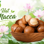 Hạt macca mua ở đâu Hà Đông – Hà Nội để chọn hạt ngon? Mua hat mac ca o dau Ha Dong