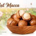 Mua hạt mắc ca ở đâu tại Hà Nội để chọn hạt ngon dễ mua? Mua hat mac ca o dau Ha Noi
