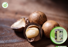 Địa chỉ mua hạt mắc ca ở đâu tại Hà Nội uy tín nhất!?