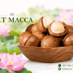Hạt macca mua ở đâu tại Hậu Giang – Cần Thơ chọn hạt thơm bùi? Mua hat mac ca o dau Hau Giang - Can Tho