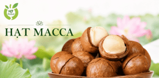 Hạt macca mua ở đâu tại Hậu Giang – Cần Thơ chọn hạt thơm bùi? Mua hat mac ca o dau Hau Giang - Can Tho