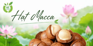 Hạt macca mua ở đâu Long Biên bảo đảm thơm ngon, dễ đặt? Mua hat mac ca o dau Long Bien