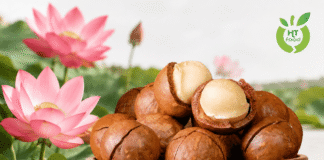 Hạt macca mua ở đâu Tây Hồ – Hà Nội để chọn hạt ngon dễ dùng? Mua hat mac ca o dau Tay Ho
