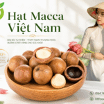 Hạt Macca Việt Nam làm quà cho khách nước ngoài sang trọng Mua hat macca Vietnam lam qua