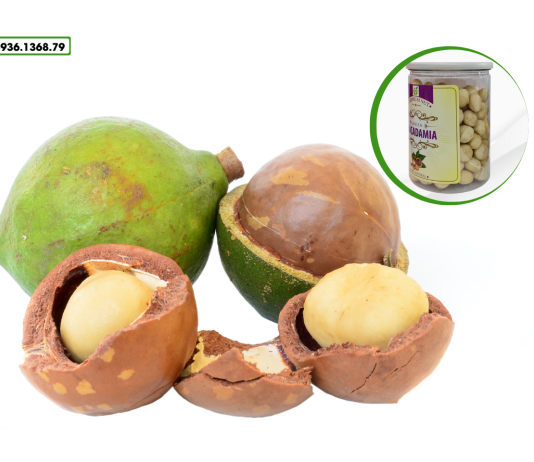 Mua hạt macca làm sữa ở đâu ngon và chất lượng?