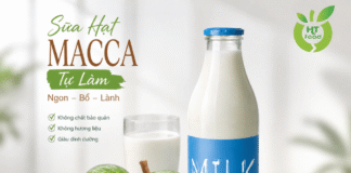 Mua hạt macca làm sữa ở đâu ngon và chất lượng?