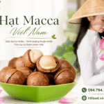 Mua hạt macca ở đâu Hà Nội uy tín, giao hàng tận nơi? Mua hat macca o dau Ha Noi