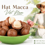 Mua hạt macca ở đâu chất lượng, thơm ngon, giá hợp lý? Mua hat macca o dau chat luong