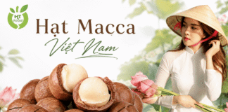 Mua hạt macca ở đâu chất lượng, thơm ngon, giá hợp lý? Mua hat macca o dau chat luong