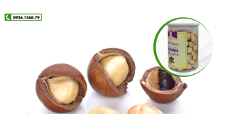 Mua hạt macca ở đâu Hà Nội ngon giá rẻ nhất?