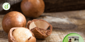 Mua hạt macca cao cấp tại quận 7 – không thể bỏ lỡ!