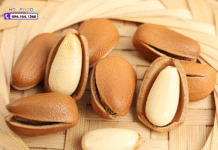 Tìm Mua Hạt Thông Ở Hà Nội? Khám Phá Địa Chỉ Tin Cậy