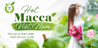 Quả mắc ca mua ở đâu uy tín, giá hợp lý, giao toàn quốc Mua qua mac ca o dau
